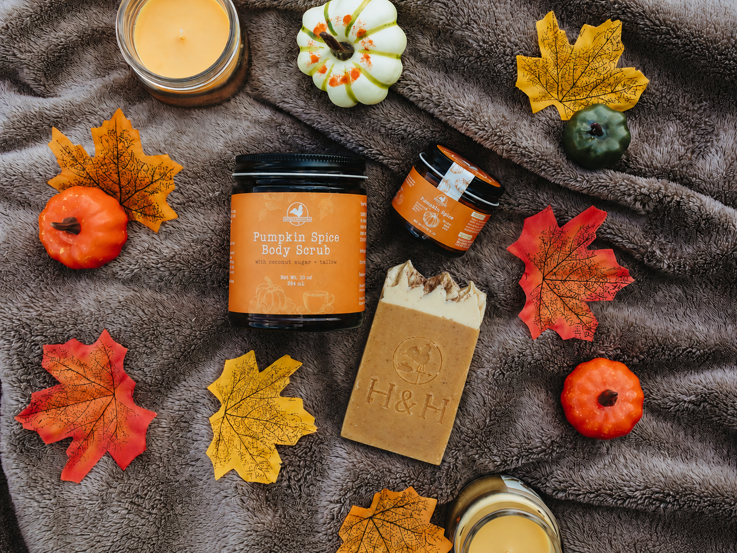 Fall Favorites Collection