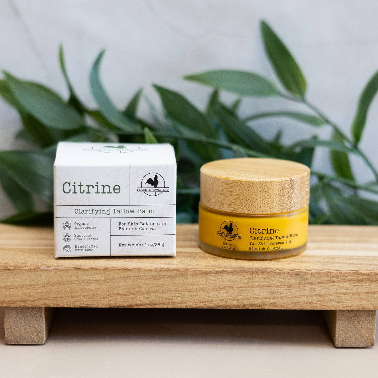Citrine: Clarifying Tallow Face Cream with Seabuckthorn
