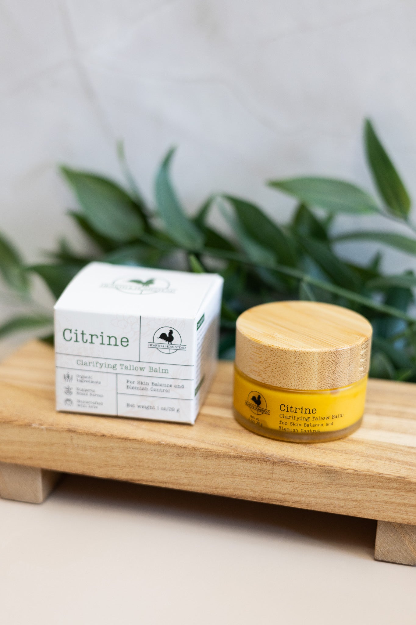 Citrine: Clarifying Tallow Face Cream with Seabuckthorn