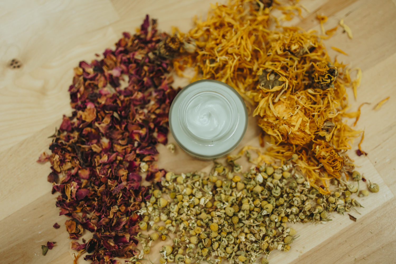 Wild Bloom: Anti-Aging Tallow Face Cream
