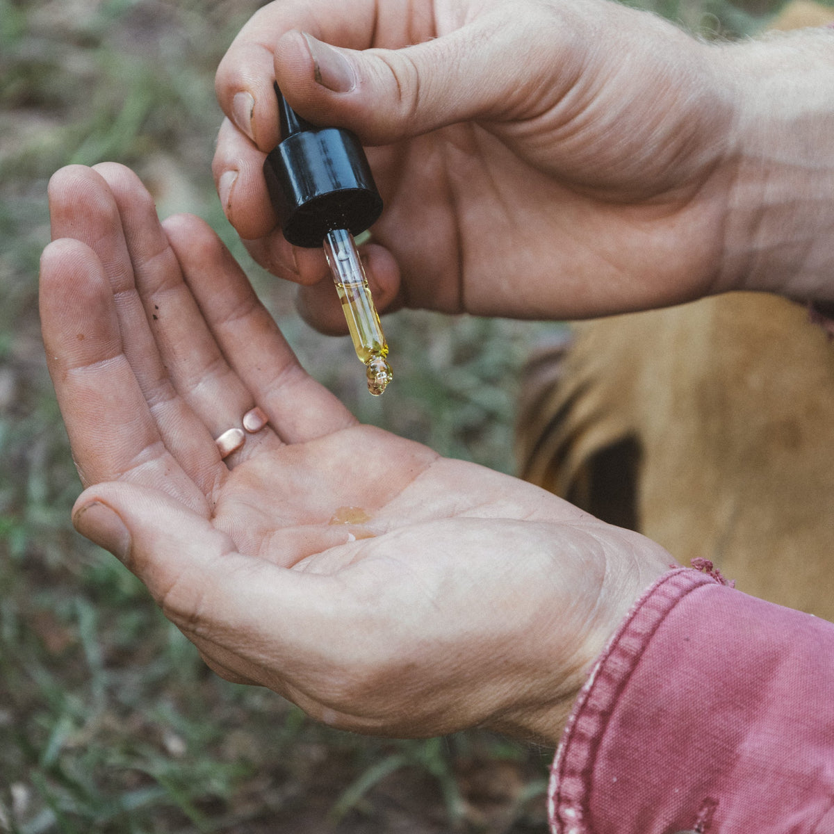 Beard Oil image 2