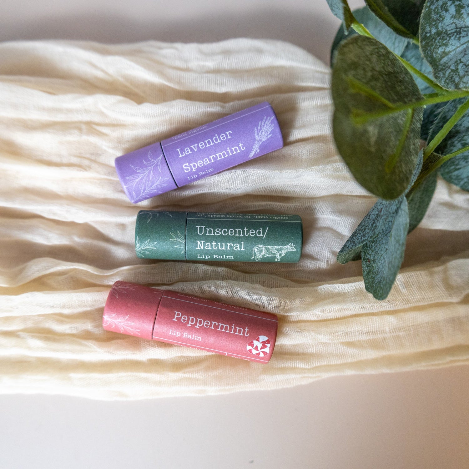 Tallow Lip Balm image 0